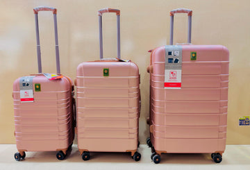 Swarmiss 3 pics luggage set